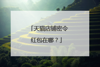 天猫店铺密令红包在哪?