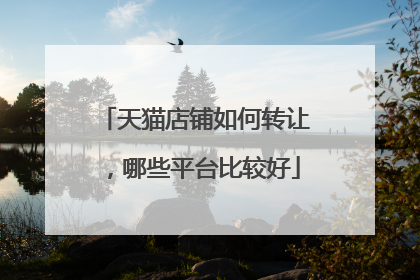 天猫店铺如何转让,哪些平台比较好