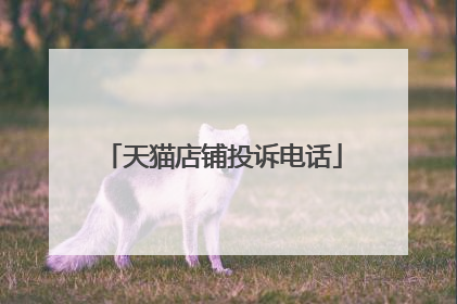 天猫店铺投诉电话