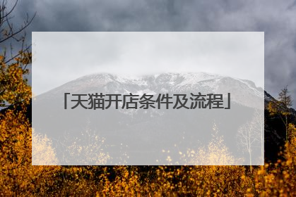 天猫开店条件及流程
