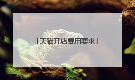 天猫开店费用要求