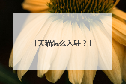 天猫怎么入驻?