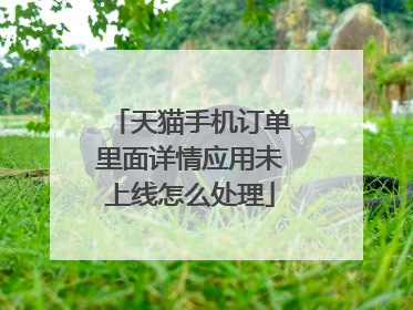 天猫手机订单里面详情应用未上线怎么处理