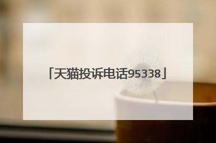天猫投诉电话95338