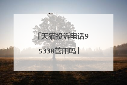 天猫投诉电话95338管用吗