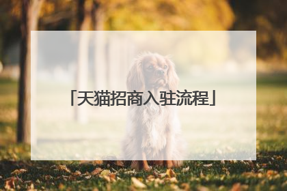 天猫招商入驻流程