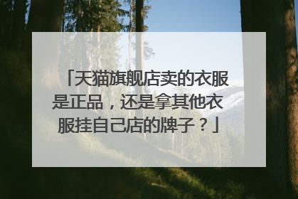 天猫旗舰店卖的衣服是正品,还是拿其他衣服挂自己店的牌子?