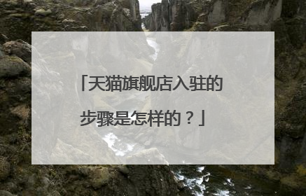 天猫旗舰店入驻的步骤是怎样的?