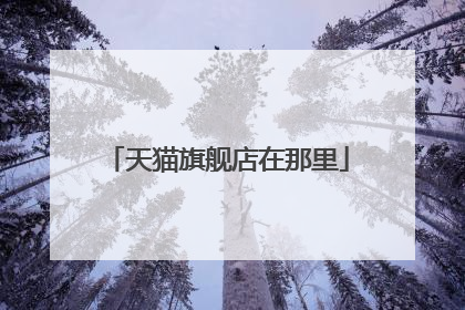 天猫旗舰店在那里