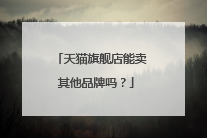 天猫旗舰店能卖其他品牌吗?