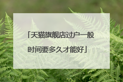 天猫旗舰店过户一般时间要多久才能好