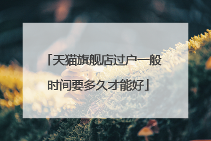 天猫旗舰店过户一般时间要多久才能好