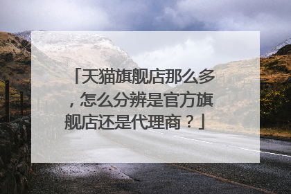 天猫旗舰店那么多，怎么分辨是官方旗舰店还是代理商？