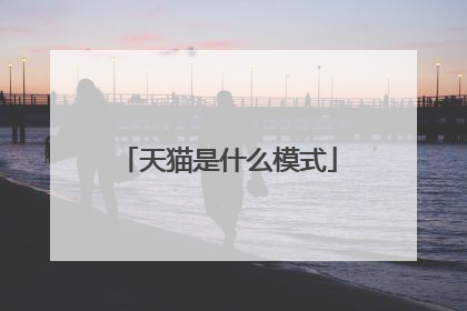 天猫是什么模式