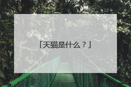 天猫是什么？