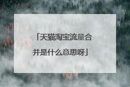 天猫淘宝流量合并是什么意思呀