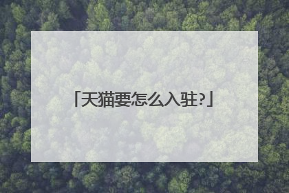 天猫要怎么入驻?