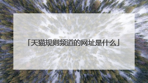 天猫规则频道的网址是什么