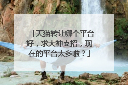 天猫转让哪个平台好，求大神支招，现在的平台太多啦？