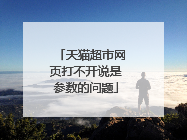 天猫超市网页打不开说是参数的问题