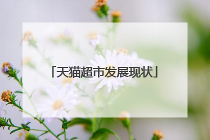 天猫超市发展现状