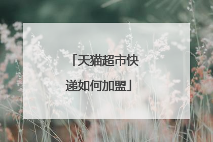 天猫超市快递如何加盟