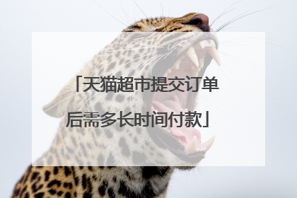 天猫超市提交订单后需多长时间付款