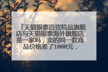 天猫银泰百货精品旗舰店与天猫银泰海外旗舰店是一家吗,卖的同一款商品价格差了1000元,这也差太多了吧