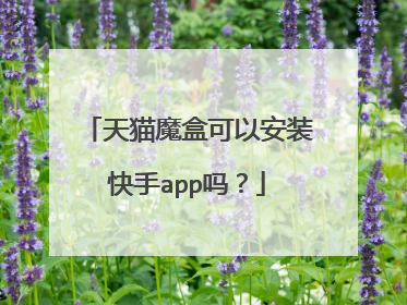 天猫魔盒可以安装快手app吗?