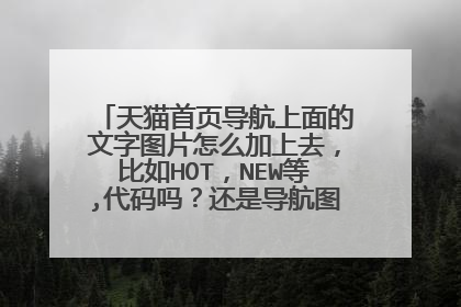 天猫首页导航上面的文字图片怎么加上去,比如HOT,NEW等,代码吗?还是导航图片?如图红框