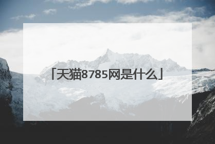 天猫8785网是什么