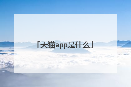 天猫app是什么