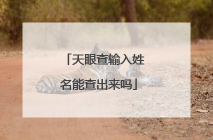 天眼查输入姓名能查出来吗