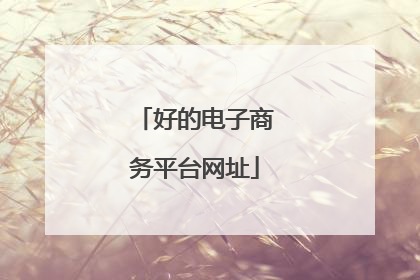 好的电子商务平台网址