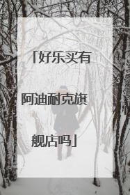 好乐买有阿迪耐克旗舰店吗