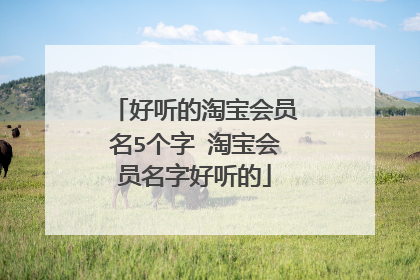 好听的淘宝会员名5个字 淘宝会员名字好听的