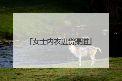 女士内衣进货渠道