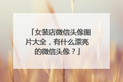 女装店微信头像图片大全,有什么漂亮的微信头像?