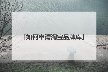 淘宝店铺怎么注册品牌(淘宝怎么选品牌店铺)
