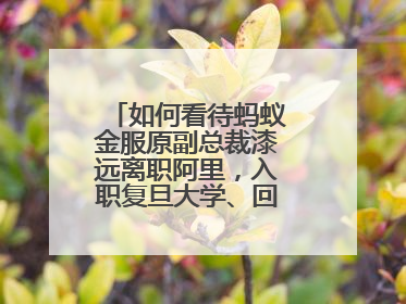 如何看待蚂蚁金服原副总裁漆远离职阿里,入职复旦大学、回归学术界?
