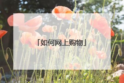 如何网上购物