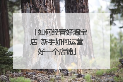 如何经营好淘宝店 新手如何运营好一个店铺