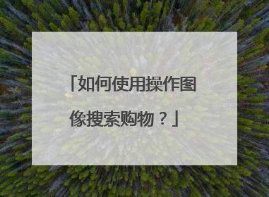 如何使用操作图像搜索购物?