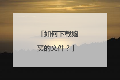 如何下载购买的文件?