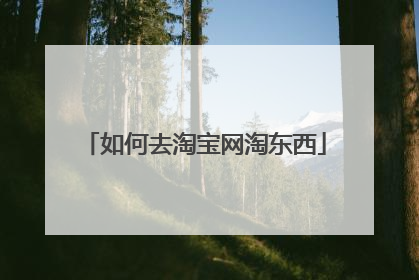 如何去淘宝网淘东西