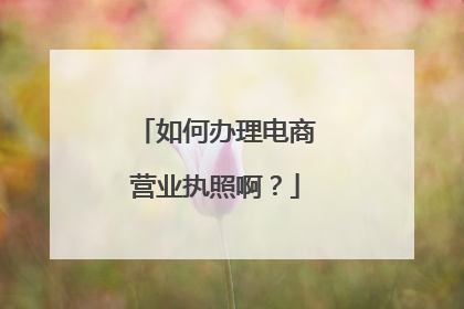 如何办理电商营业执照啊?
