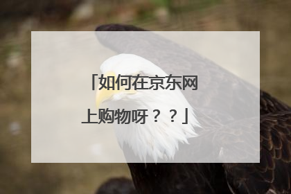 如何在京东网上购物呀？？