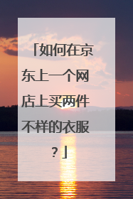 如何在京东上一个网店上买两件不样的衣服?