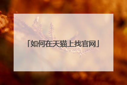 如何在天猫上找官网