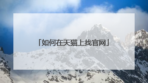 如何在天猫上找官网